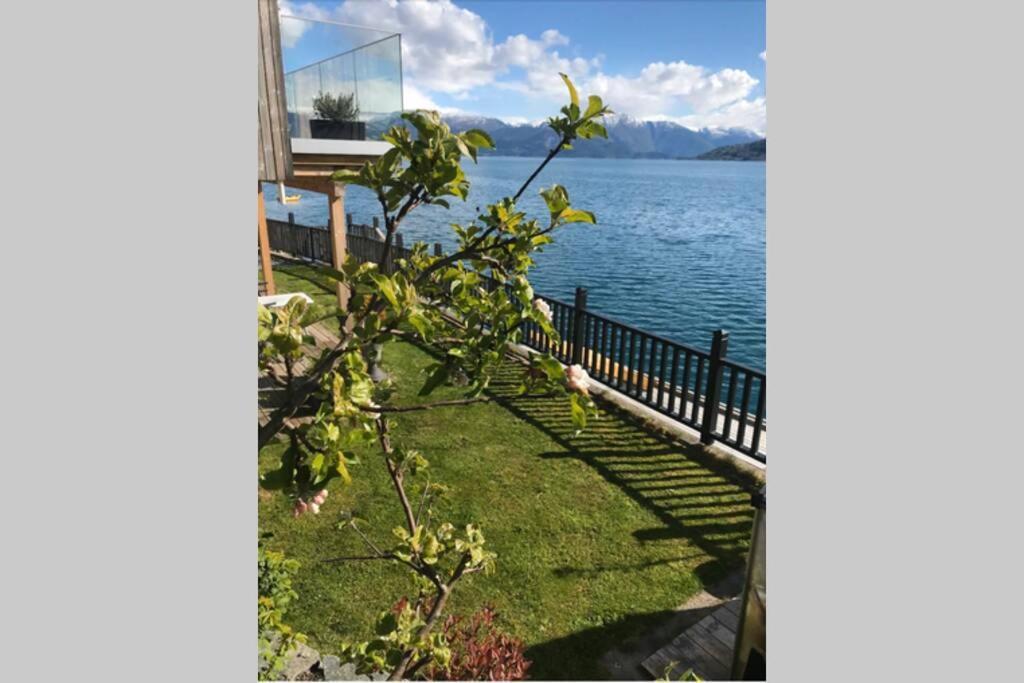 Panoramaresort In Hardangerfjorden Leilighet I Sjokanten Ved Hardangerfjorden For 7 Personer Boat , Sauna,Kajak, Sup For Rent Oystese Екстер'єр фото